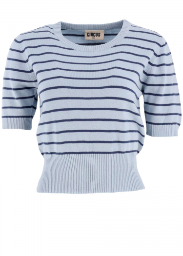 Stripe Knitted Short Sleeve Top