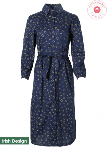 The Ray Print Shirt Dress